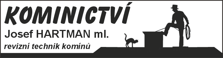 Primary Raster logo